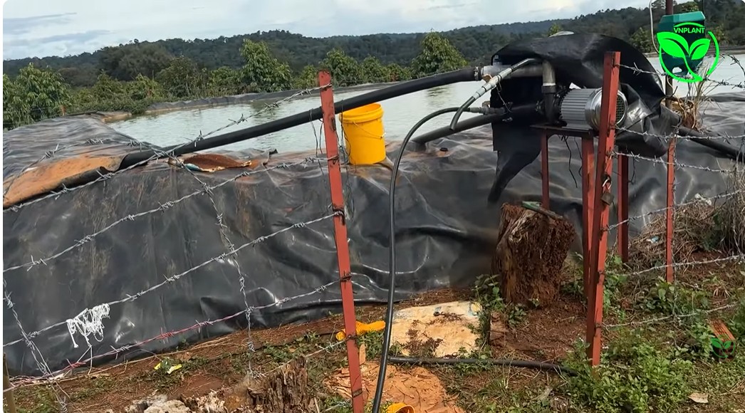 may bom cho he thong tươi 